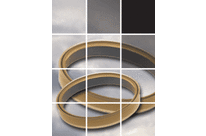 Rubber Spring Actuated Seals (RSA®)