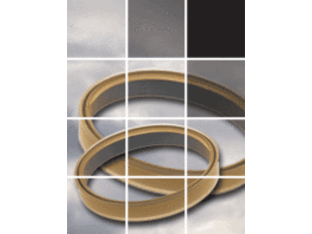 Rubber Spring Actuated Seals (RSA®)