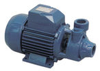 PAQ: Cast iron peripheral pumps