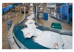 Siegling Transilon, Conveyor and Processing belts, Curved