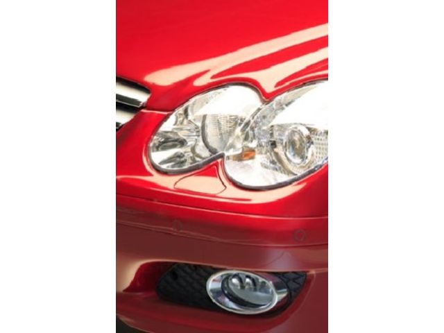 Plasticizers (Thermoplastics)