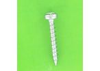 Wood Screws : Wood Screw, Round Pozidriv Head - Wood and Chipboard Screw, Torx, White Zinc Steel