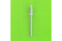 Rivets : Countersunk Head - Steel/Steel