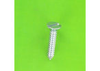 Sheet Metal Screws : Countersunk Slotted Head - Countersunk Head Sheet Metal Screw, White Zinc Steel, DIN 7972