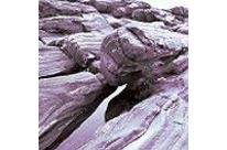 Processing aids / Dispersing agent