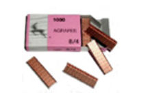 8/4 Coppered Staples - Box of 1000 Staples : Ag841M