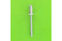 Rivets : Pan Head - Stainless / Stainless