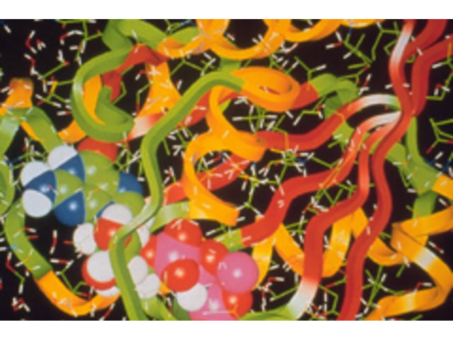 Specialty polymers &amp; monomers