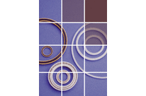 Metal Spring Energized Seals (MSE®)