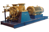 Goulds Model 3640 API