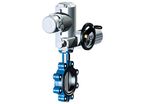 Butterfly valve : ARI-ZIVA-G