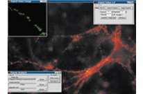 Image Acquisition Toolbox 3.3