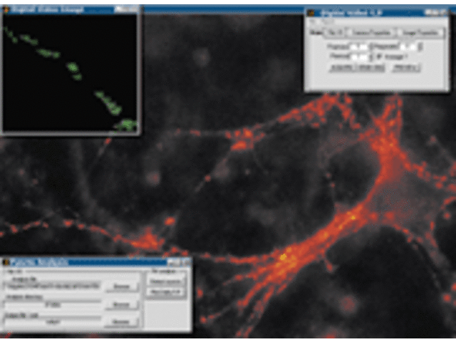 Image Acquisition Toolbox 3.3