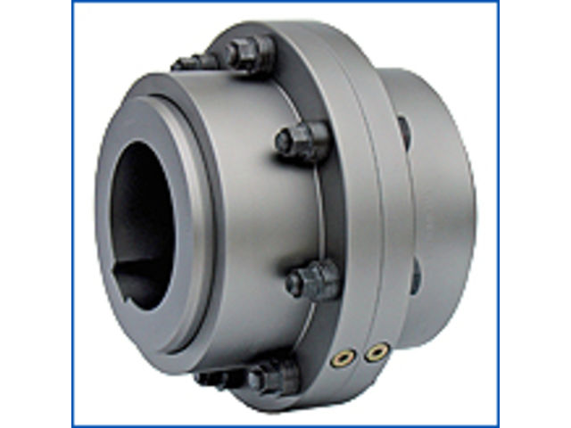 Torsionally rigid couplings : ZAPEX-ZI