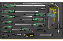 TCS INLAY FOR SCREWDRIVERS 