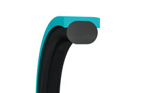 Piston Seals Turcon Double Delta