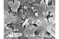 Pharmaceutical kaolin : Pharmakaolin®