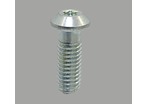 Self tapping core Screw for 6 mm slot profile