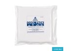 CP2020 Cool Pack 1kg (200mm x 200mm x 35mm) - CODE 862
