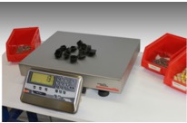 Industrial Scale C20 R1 Range