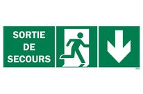 Emergency exit sign + picto + right arrow down