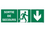 Emergency exit sign + picto + right arrow down