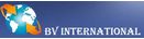 BV INTERNATIONAL