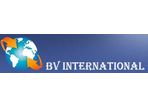 BV INTERNATIONAL
