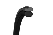 Piston Seals Turcon Stepseal 2K