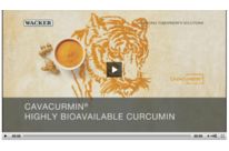 Cavacurmin : Highly Bioavailable  and Water Dispersible Curcumin