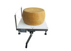 Manual, horizontal cheese cutting machine. Rock 19