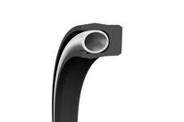 Piston Seals Turcon Variseal W2