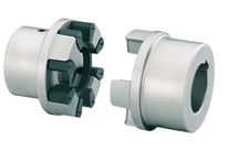 BIPEX semi-elastic coupling