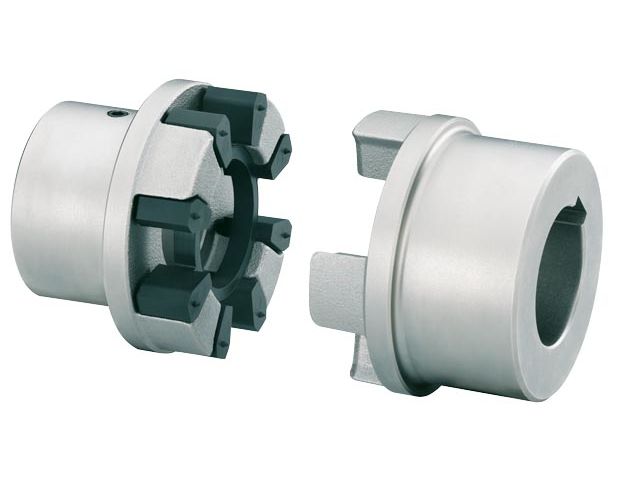 BIPEX semi-elastic coupling
