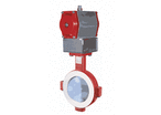 Shut-off and control butterfly valves : NKSP