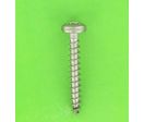 Wood Screws : Wood Screw, Round Pozidriv Head - Wood and Chipboard Screw, Torx, A2 Stainless Steel