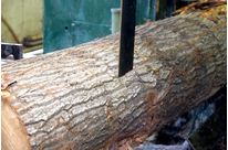  Resaw and log band saw blades Ffor use in the wide mobile range