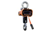 Multifunction crane scale DTEN