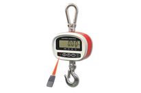 Ultra-light crane scale DTEP