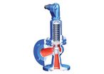 Safety valve : ARI-SAFE P