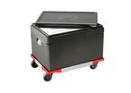 MINI TROLLEY 60 x 40