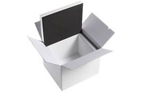 Kit for transport of heat sensitive products : POLAIRPACK® - KIT 30L40 HD