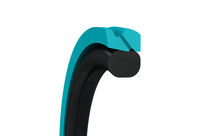 Piston Seals Turcon Stepseal V