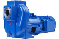 Self-priming pumps