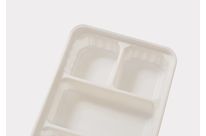 BIOPLAST 105 - RIGID APPLICATIONS