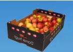 Fruit and vegetable packaging - Hand Erect