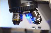 Boruvite - Glass powder