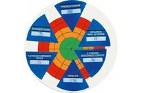 Magnetic plate for monitoring indicators | VISIOFLASH TARGET