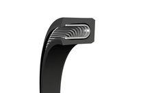 Piston Seals Turcon Variseal M2S