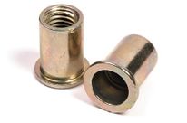 Flat headed cylindrical “AMSERT”